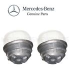 221-240-63-17 221-240-62-17 - Kayser Oem New