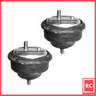 Em-9003 9003 Rc Auto Parts Front Motor Mount Set For Bmw
