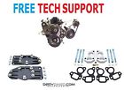 Dd-tsp-2-ds-pc Dirty Dingo Motorsports Ls 700371864293