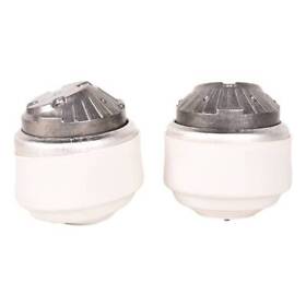 For Mercedes-benz Pair Oil Filled Hydraulic Engine Motor Mount Lh Rh Sides