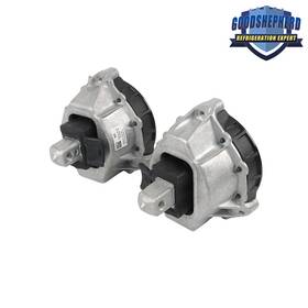 Gp1020396dh Goodshepherd18 2pcs Left And Right Engine Motor Mount For Bmw Z4 230i 330i 430i 2.0l 2019-2023 Gp1020396dh Goodshepherd18 2pcs Left And Right Engine Motor Mount For Bmw Z4 230i 330i 430i 2.0l 2019-2023