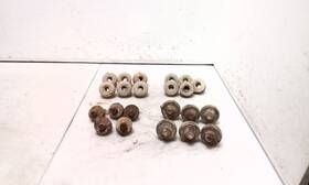 598.am8506 Jeep Tj Wrangler Body Mount Bushing Sleeves And Bolt Set Of 11 1997-06 139570