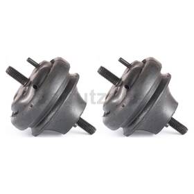 Stsu241214008370 Pioneer Automotive Industries 2 Front Engine Mount Fits Ford Bronco F-150 F-250 F-350