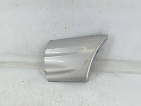 256-20980 Pontiac 1999 Bonneville Fender Molding Light Grey Pmfzp