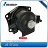 To16158401f Engine Motor Mount For Honda Accord Ex Sedan