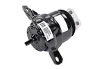 Genuine Gm Parts 85623476 Engine Mount. Fixed Price $103.85.