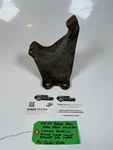 Oem 2003-2007 Dodge Ram 2500 3500 5.9L Cummins Driver Motor Mount 52021137AA. Fixed Price $72.38.