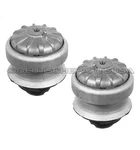 Mercedes W201 W124 300E 190E Engine Mounts Set. Fixed Price $66.74.