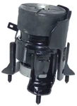 Engine Mount-awd Front Westar EM-5800 Fits 2004 Lexus RX330 3.3L-V6. Fixed Price $117.73.