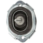 For Bmw X5 V8 E53 2000 2001 2002 2003 2004 2005 2006 New Engine Mount. Fixed Price $77.97.