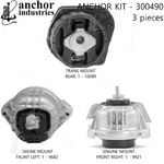 Anchor Engine Mount Kit For Bmw 300490. Fixed Price $205.02.