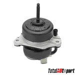 Engine Mount Ford Mustang 2015-2021 L4 2.3L Front Driver FR3Z6038A FR3Z6038H. Fixed Price $65.99.
