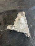 2011-2024 Dodge Jeep 3.6L V6 Left Side Engine Mount Bracket 632652524AA. Fixed Price $29.99.