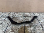 Ford Mustang Gt 2015-2023 Oem Engine Reinforcement Brace Mount Strut Bar Assy. Fixed Price $74.95.