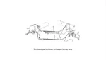 Genuine Gm Engine Wiring Harness 84082861. Fixed Price $534.93.