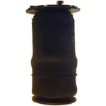AS-7056 Westar Air Spring Rear Driver Passenger Side For Chevy Olds Chevrolet. Fixed Price $158.12.