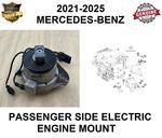 Engine Motor Mount Electric Passenger Side For Mercedes W290, GT63,. Fixed Price $953.33.