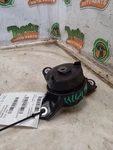 Accord 2017 Engine Mounts 3835212. Fixed Price $123.49.