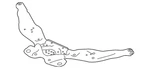 Genuine Infiniti Cross-member 544B2JK51B. Fixed Price $678.00.