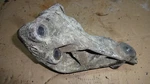 Mercedes-benz Cl C140 (W140) (9) Engine Mount Motor Right 1192234204. Fixed Price $104.63.