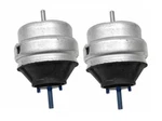 Set Of Engine Motor Mounts L+r Corteco 80000244 For Audi A4 A6 S4 Vw Passat V6. Fixed Price $143.99.