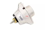 Acdelco Driver Side Engine Mount 22957033. Fixed Price $218.30.
