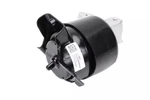 Genuine Gm Driver Side Engine Mount 23195921. Fixed Price $139.29.