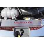 Radiator Cover Plate Synergy Green 'coyote' Inlay&coyote For 2015-16 Mustang Gt. Fixed Price $105.95.