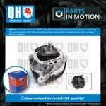Engine Front Left EM4896 Quinton Hazell Mounting 22116862549 Quality New. Fixed Price $55.25.