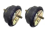 Set Of 2 Engine Mount (left + Right) (oem) Corteco 601551 For Bmw Brand New. Fixed Price $177.43.